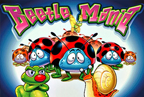 Beetle Mania | Slot machines Jokermonarch